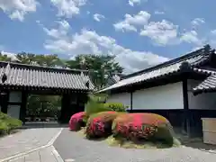 大覚寺(京都府)