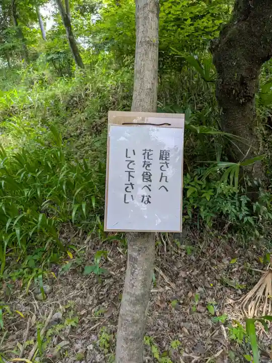 金生山 明星輪寺(岐阜県)