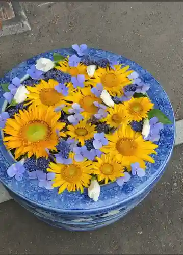 多賀神社の手水