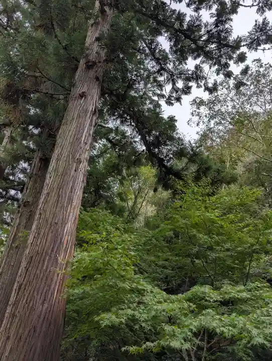 正楽寺(岡山県)