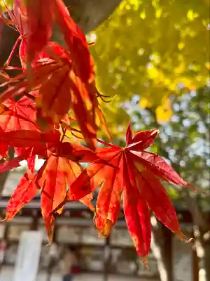 西野神社(北海道)