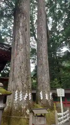 日光二荒山神社(栃木県)