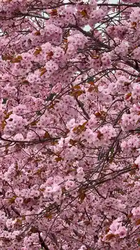 春日神社(京都府)