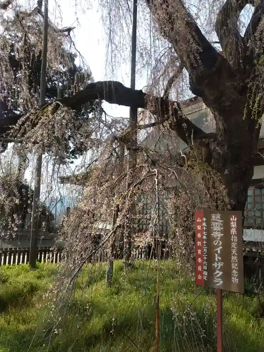 慈雲寺(山梨県)