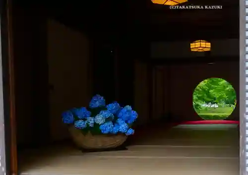 明月院(神奈川県)