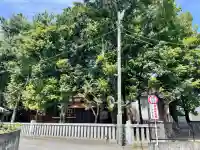 青渭神社(東京都)