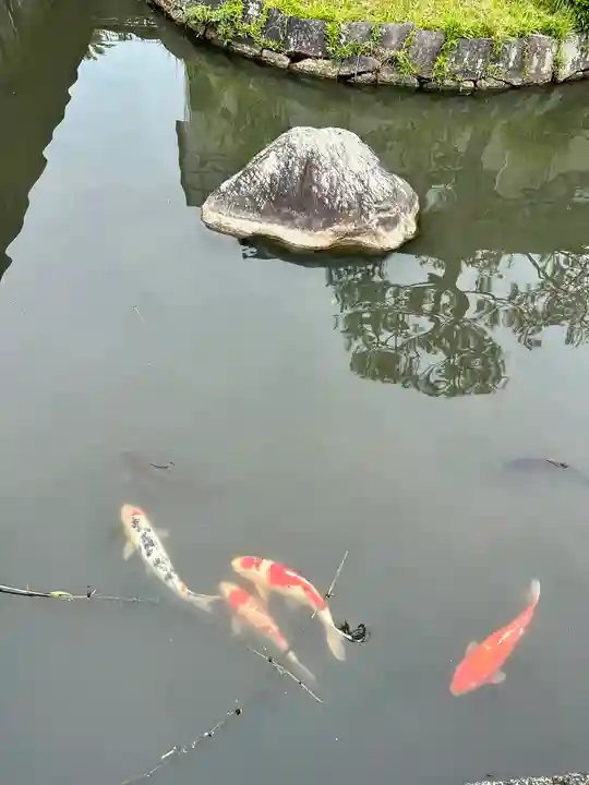 菅原天満宮(菅原神社)(奈良県)