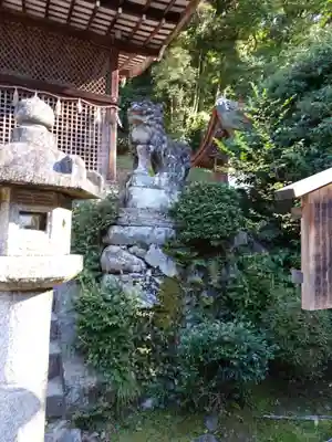 宇治上神社の狛犬