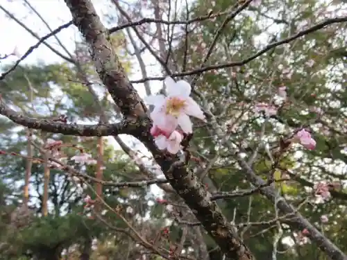 白雲神社の自然