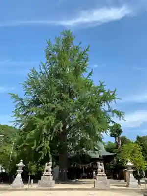 賀羅加波神社のその他建物