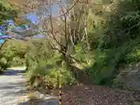 八坂神社(千葉県)