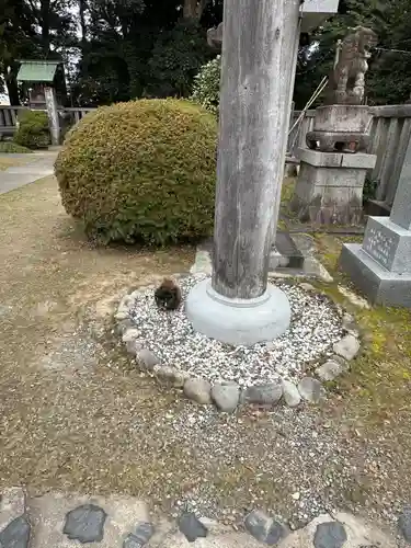 酒見神社(愛知県)