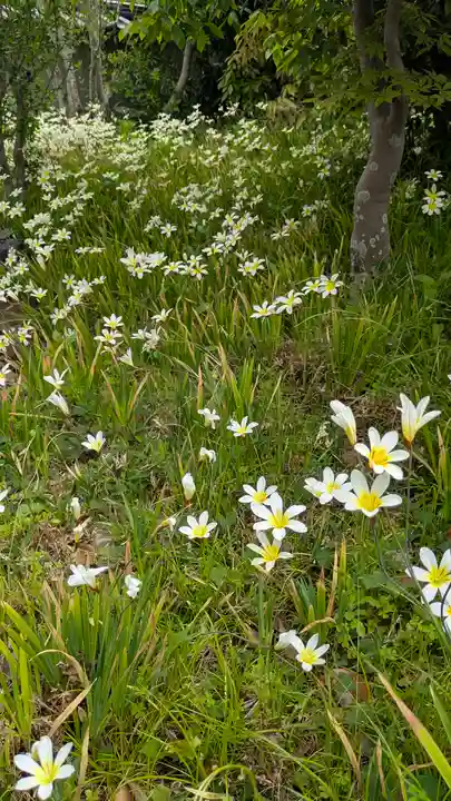 正覚寺(京都府)