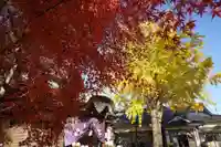 鹿島御子神社の自然