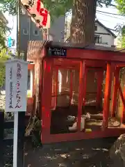 田無神社の建物その他