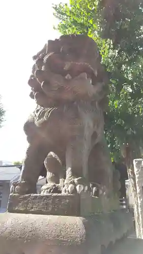 滝野川八幡神社の狛犬