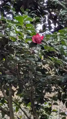 大豊神社(京都府)