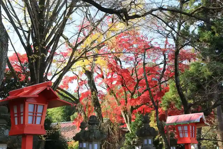 神炊館神社 ⁂奥州須賀川総鎮守⁂の景色