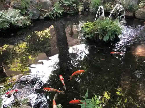 秩父今宮神社の庭園