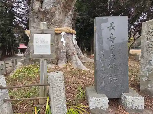 智賀都神社(栃木県)