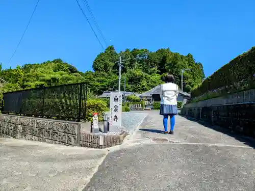 白泉寺の山門