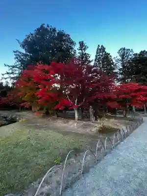毛越寺(岩手県)
