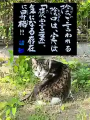 専念寺の動物