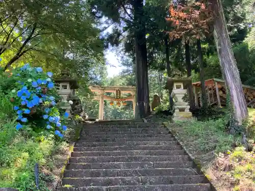 白山神社の鳥居