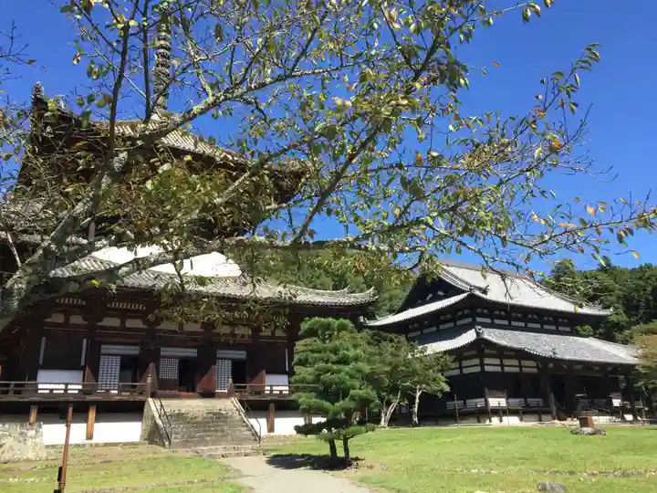 根来寺の本殿・本堂