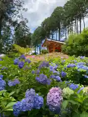 三室戸寺の自然