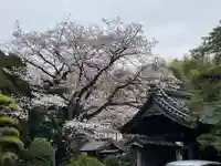 塩谷寺のその他建物