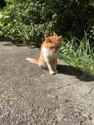 服部天満宮(愛知県)