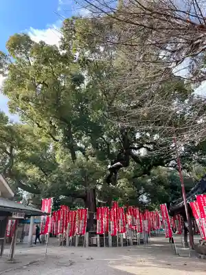 楠珺社（住吉大社末社）(大阪府)