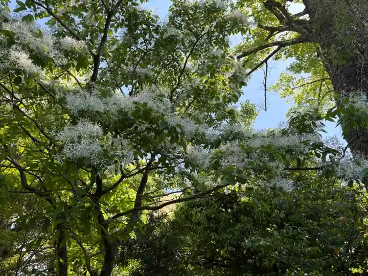 城南宮(京都府)
