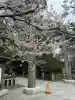 寒川神社の{uncategorized: "未分類", other: "その他", undefined: "問題あり", building: "その他建物", grave: "お墓", sacred_gate: "鳥居", guardian: "狛犬", statue: "像", buddha: "仏像", history: "歴史", nature: "自然", garden: "庭園", animal: "動物", pagoda: "塔", temizu: "手水舎", mountain_gate: "山門・神門", sanctuary: "本殿・本堂", subordinate: "末社・摂社", art: "芸術", scenery: "景色", jizo: "地蔵", ema: "絵馬", goshuin: "御朱印", omikuji: "おみくじ", items: "授与品その他", amulet: "お守り", goshuincho: "御朱印帳", eats: "食事", festival: "お祭り", votive_dance: "神楽", shichigosan: "七五三参", wedding: "結婚式", experience: "体験その他", initially: "初詣", around: "周辺", anti_infection: "感染症対策"}