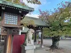 阿部野神社の狛犬