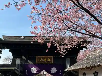 密藏院(埼玉県)