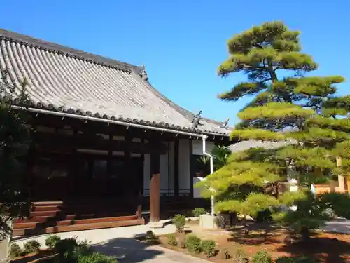 大光寺の本殿