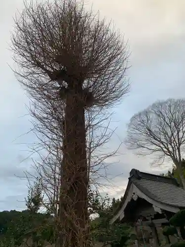 松岩寺(茨城県)