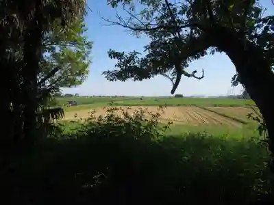 神明神社(千葉県)