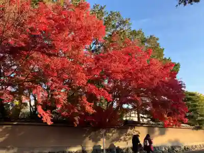 東福禅寺(東福寺)(京都府)
