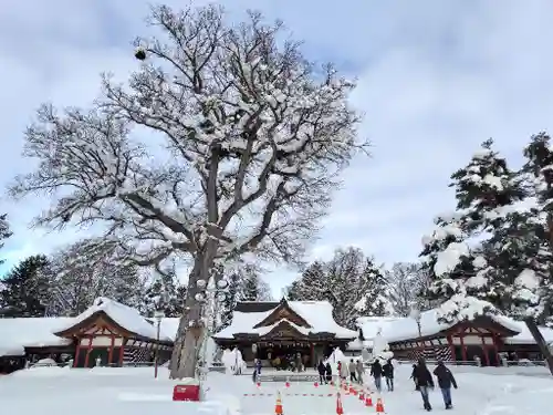 北海道護國神社の景色