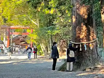猿投神社のその他建物