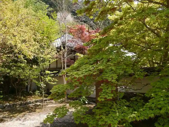 桑実寺のその他建物