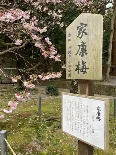 久能山東照宮の{uncategorized: "未分類", other: "その他", undefined: "問題あり", building: "その他建物", grave: "お墓", sacred_gate: "鳥居", guardian: "狛犬", statue: "像", buddha: "仏像", history: "歴史", nature: "自然", garden: "庭園", animal: "動物", pagoda: "塔", temizu: "手水舎", mountain_gate: "山門・神門", sanctuary: "本殿・本堂", subordinate: "末社・摂社", art: "芸術", scenery: "景色", jizo: "地蔵", ema: "絵馬", goshuin: "御朱印", omikuji: "おみくじ", items: "授与品その他", amulet: "お守り", goshuincho: "御朱印帳", eats: "食事", festival: "お祭り", votive_dance: "神楽", shichigosan: "七五三参", wedding: "結婚式", experience: "体験その他", initially: "初詣", around: "周辺", anti_infection: "感染症対策"}