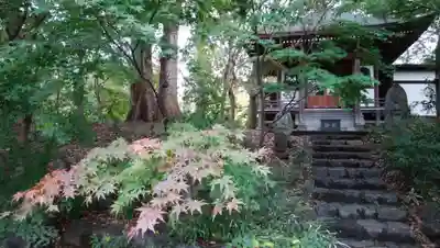 淨眞寺のその他建物