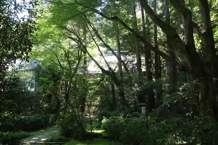 龍潭寺(滋賀県)