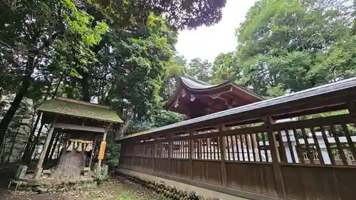 三ケ尻八幡神社(埼玉県)