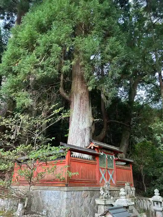 天一神社(奈良県)