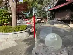 多摩川浅間神社(東京都)